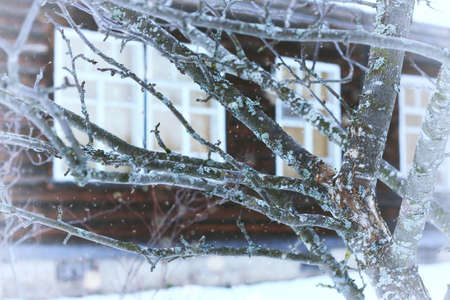 winter landscape on a suburban area with an old wooden house and snow-covered lawnの写真素材