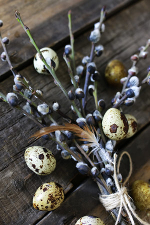 dry twigs of willow with buds on them, the texture on the old wooden background