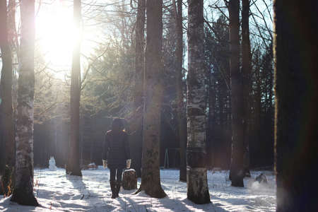 Pretty red-haired girl in the winter forest walks in the snow on a sunny dayの写真素材