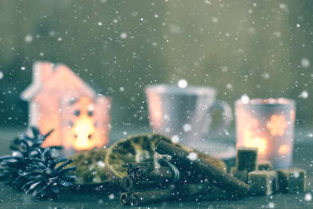 New Year's Eve celebration package gifts and signature cooking festive drinksの写真素材