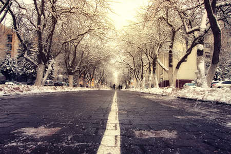 urban landscape on a sunny winter day, footpaths and parksの写真素材