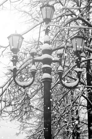 urban landscape on a sunny winter day, footpaths and parksの写真素材