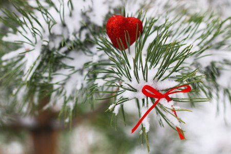 Winter in all its manifestations snow-covered streets of trees and lawnの写真素材