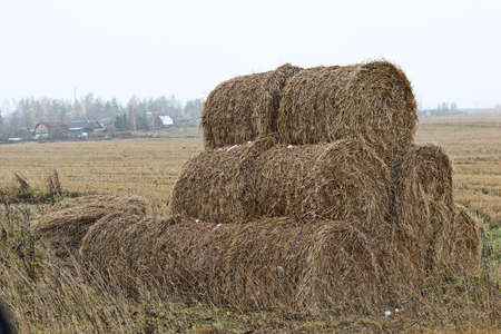 Fall field straw stack in autumn seasonの写真素材