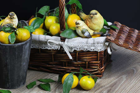 juicy mandarin citrus symbol of the new year coming holidaysの写真素材