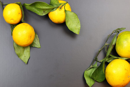 juicy mandarin citrus symbol of the new year coming holidaysの写真素材