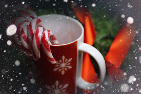 Christmas sweet cane sticks with satin ribbon tied aroundの写真素材