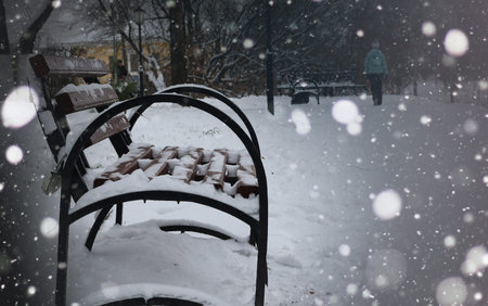 winter landscape snow-covered road and trees in the park outsideの写真素材