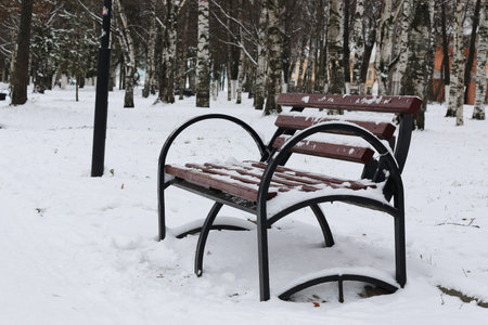 winter landscape snow-covered road and trees in the park outsideの写真素材