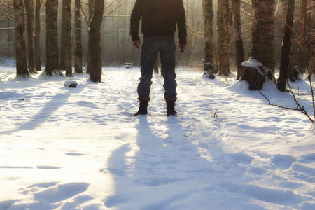 winter landscape snow-covered road and trees in the park outsideの写真素材