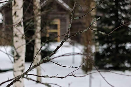 winter landscape on a suburban area with an old wooden house and snow-covered lawnの写真素材
