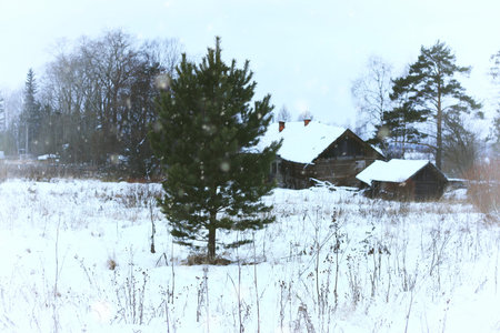 winter landscape on a suburban area with an old wooden house and snow-covered lawnの写真素材