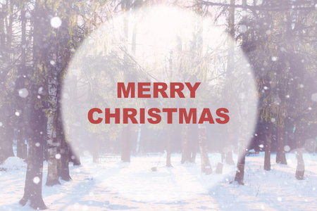 Pretty red-haired girl in the winter forest walks in the snow on a sunny dayの写真素材