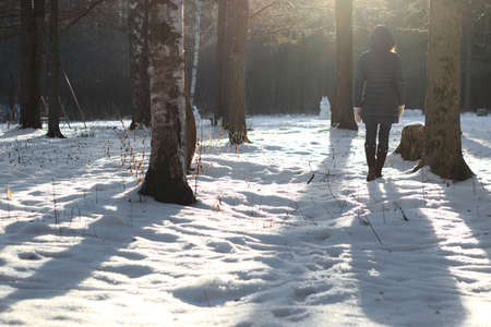 Pretty red-haired girl in the winter forest walks in the snow on a sunny dayの写真素材