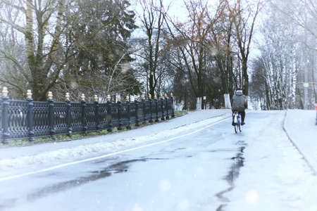 late autumn with the rainy weather in the city park at the church buildingの写真素材