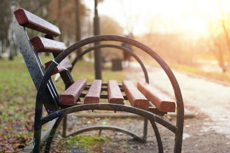 late autumn with the rainy weather in the city park at the church buildingの写真素材