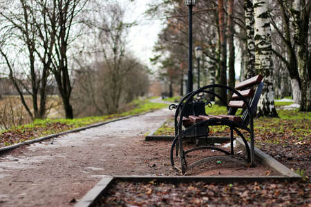 late autumn with the rainy weather in the city park at the church buildingの写真素材