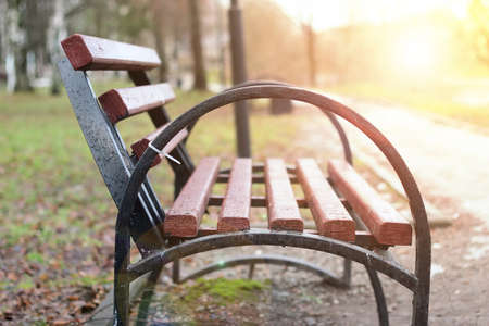 late autumn with the rainy weather in the city park at the church buildingの写真素材