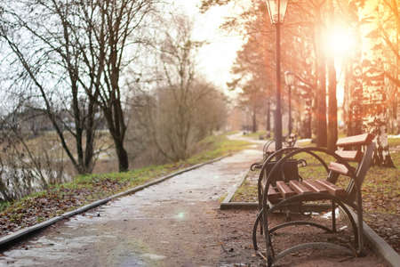 late autumn with the rainy weather in the city park at the church buildingの写真素材