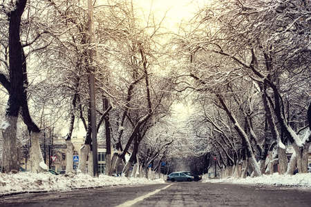 urban landscape on a sunny winter day, footpaths and parksの写真素材