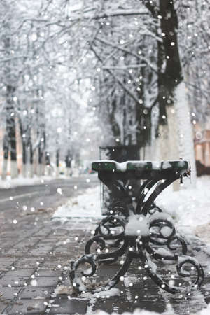 urban landscape on a sunny winter day, footpaths and parksの写真素材