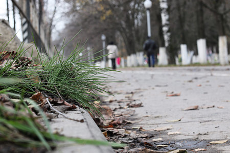Perspective sidewalk in the park in a rainy autumn day