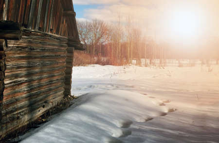 landscape early spring days in the park drops and melting snow on the natureの写真素材