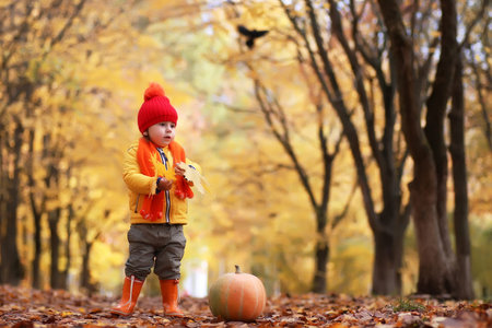 kid in autumn park with pumpkin play and having fun