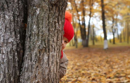 kid in autumn park hidden behind tree and smileの写真素材
