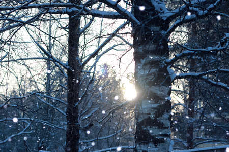 urban landscape on a sunny winter day, walkways and streetsの写真素材