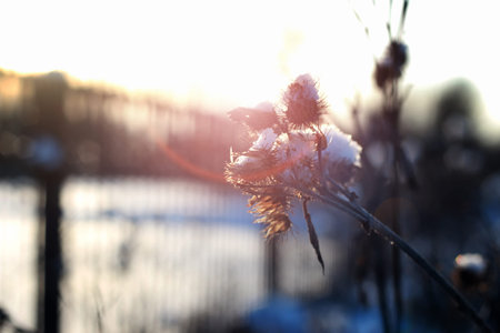 urban landscape on a sunny winter day, walkways and streetsの写真素材