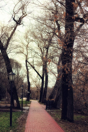 city spring pathway lightsの写真素材