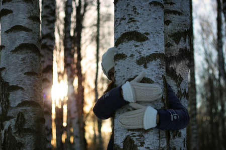Pretty red-haired girl in the winter forest walks in the snow on a sunny dayの写真素材