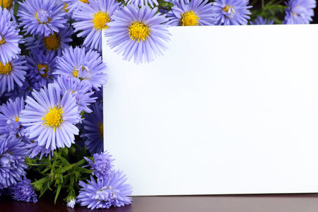 wild flowers bouquet ringsの写真素材