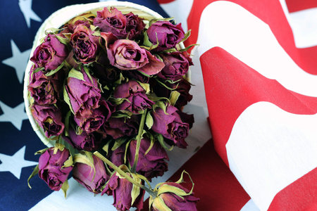 US flag rose flower
