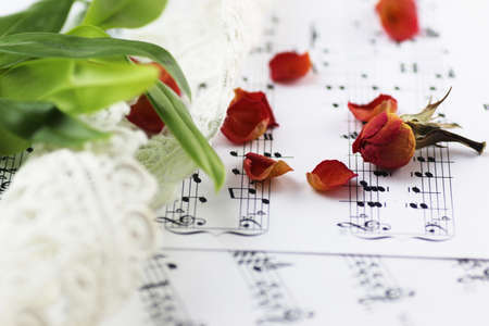 white sheet of paper with musical notes printed with Christmas motifsの写真素材