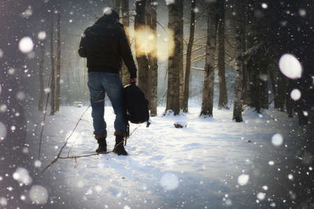 winter landscape snow-covered road and trees in the park outsideの写真素材