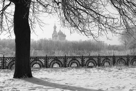 winter landscape snow-covered road and trees in the park outsideの写真素材