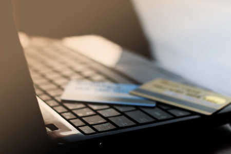 online shopping payment purchases over the Internet with a credit card