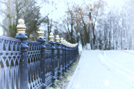 late autumn with the rainy weather in the city park at the church buildingの写真素材