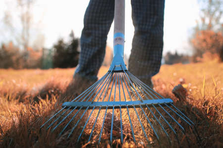 man with a lawn rake cleans the country of excess debrisの写真素材