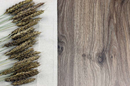 a bouquet of dried rye ears of which makes the bread on the backgroundの写真素材