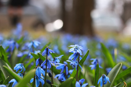 various objects of the spring season in the best of this wonderful period
