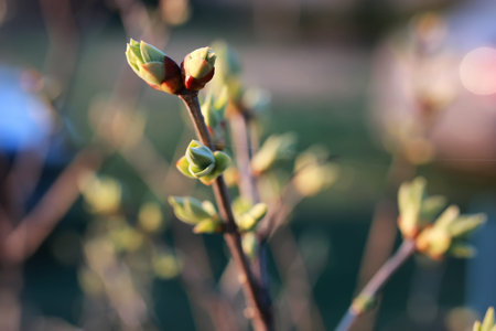 various objects of the spring season in the best of this wonderful period