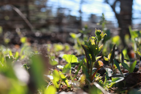 various objects of the spring season in the best of this wonderful period