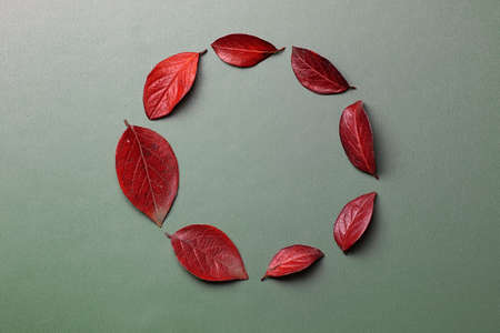 autumn leaves background on a green isolated table concept natureの写真素材