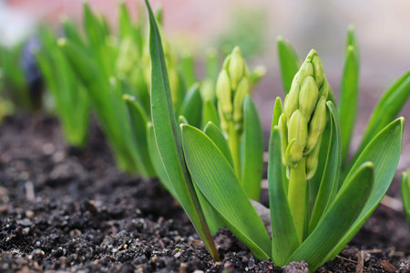 various objects of the spring season in the best of this wonderful period