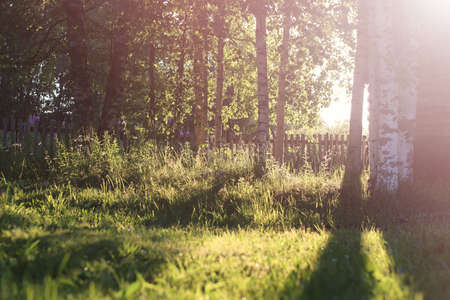 various objects of the summer season in the best of this wonderful periodの写真素材