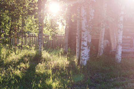 various objects of the summer season in the best of this wonderful periodの写真素材