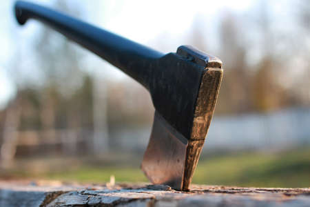 various objects of the spring season in the best of this wonderful periodの写真素材